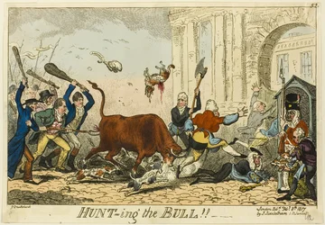 Op jacht naar de stier!
