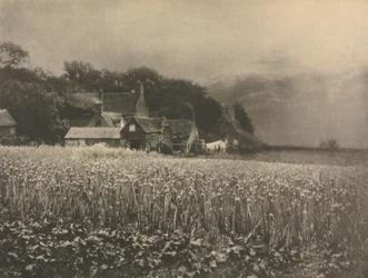 Camera Work: Het uienveld - 1890, 1890