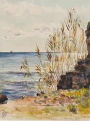In San Remo met uitzicht op de Middellandse Zee, 10 januari 1878