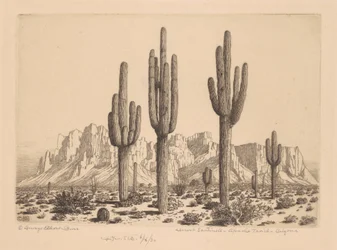 Woestijnwachters, Apache Trail, Arizona