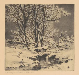 Eerste sneeuw (nr. 1)