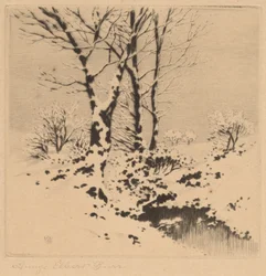 Sneeuw