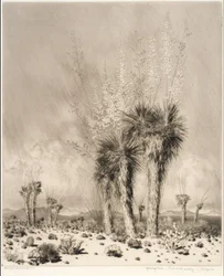 Lente, Paradise Valley, Arizona