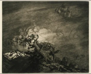 Storm dichtbij Timberline