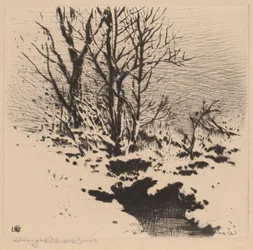 De Eerste Sneeuw (nr.2)