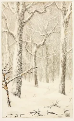 Zonder titel (Bomen in sneeuw)