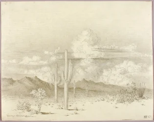 Zonder titel (overdrachtstekening voor Avond, Paradise Valley, Arizona)