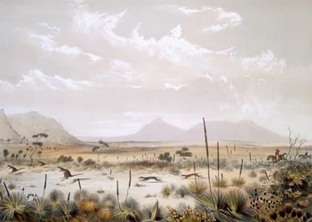 Kangoeroejacht bij Port Lincoln, uit 