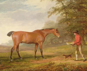Een bruin paard dat wordt benaderd door een stalknecht met voedsel en een halster, 1789