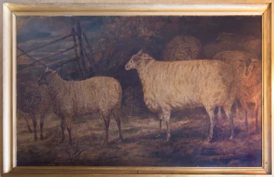 De verbetering van het South Down-schapenras in Holkham in Norfolk, 1793-1807