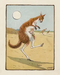 De kangoeroe