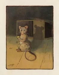 De Muis