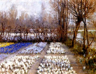 Een krokusveld in de lente, ca.1889