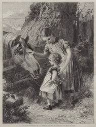 Gebrek aan Vertrouwen