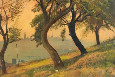 Friedberg in Hessen vanaf de Johannisberg Nauheim, 1903
