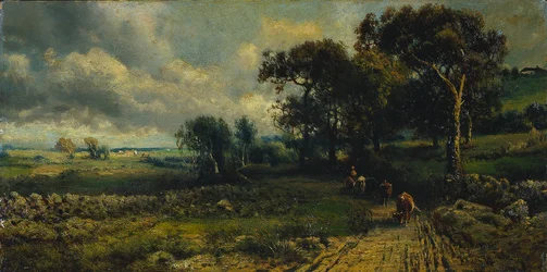 Wollige wolken, 1881