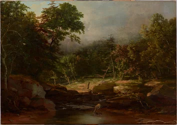 Beek in de bergen