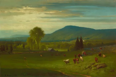 Zomer in de Catskills