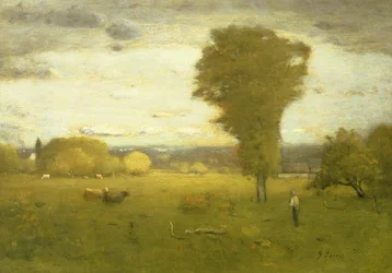 Zonovergoten weiland