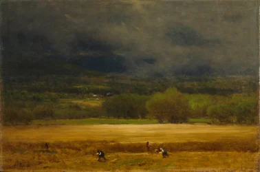 Het korenveld