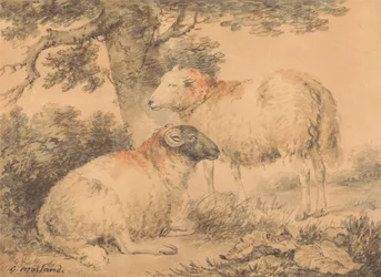 Een ram en een ooi in een landschap