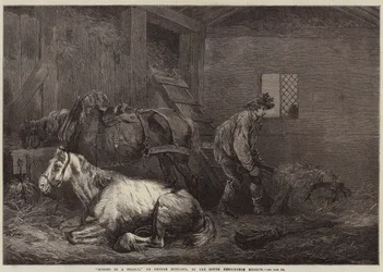 Paarden in een stal