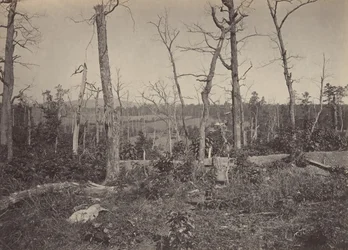 Slagveld van Resacca, Georgia nr. 3, 1860s
