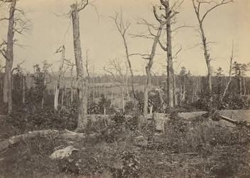Slagveld van Resaca, Georgia, nr. 3,1864 (foto)