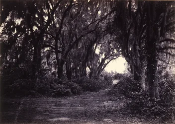 Bonaventure, Savannah, Georgia