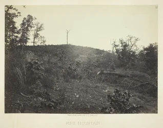 Dennenberg
