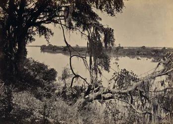 [Savannah River, nabij Savannah, Georgia]