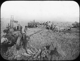 Oogstscène op de Noord-Amerikaanse prairies, eind 19e of begin 20e eeuw