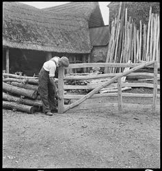 Een man maakt een veldhek in het dorp Aston,1930-50 (foto)