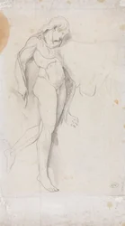 Staand Mannelijk Naakt