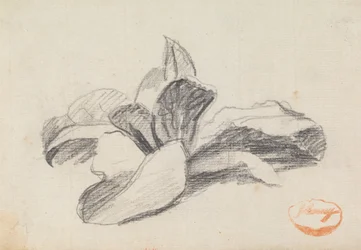 Studie van bladeren 2