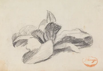 Studie van bladeren 2