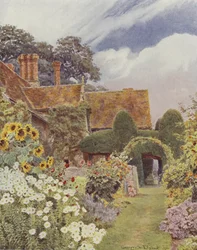 Cleeve Prior, Zonnebloemen