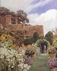 Cleve Prior: Zonnebloemen
