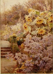 Zonnebloemen in een kruidachtige border