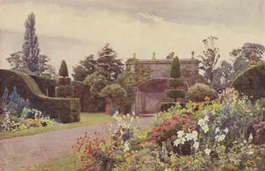 De Nis, Arley