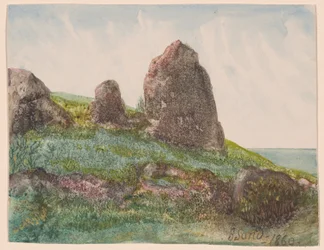 Landschap met rotsen