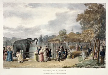 Dierentuin, Regent