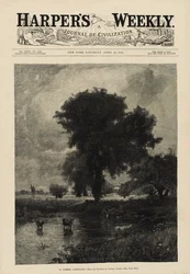 Vee in Poel (Een Zomerlandschap)