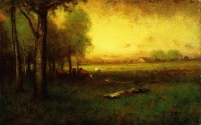 Grazende koeien bij zonsondergang