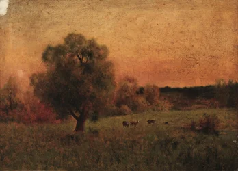 Koeien in een veld