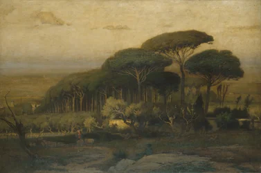 Pijnboombos van de Barberini Villa