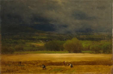 Het Korenveld
