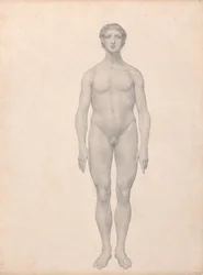 Een vergelijkende anatomische uiteenzetting van de structuur van het menselijk lichaam met dat van een tijger en een hoender:  Menselijke figuur, vooraanzicht, niet ontleed (voltooide studie voor tabel VI)