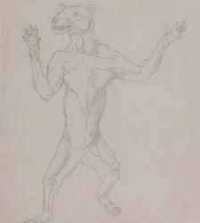 Een vergelijkende anatomische uiteenzetting van de structuur van het menselijk lichaam met dat van een tijger en een hoender:  Tijgerlichaam, staand in menselijke houding