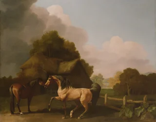 Een Roan Hengst en een Bruine Merrie